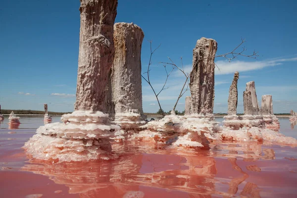 Kherson bölgesindeki Kinburn tükürüğünün yanındaki pembe göl.