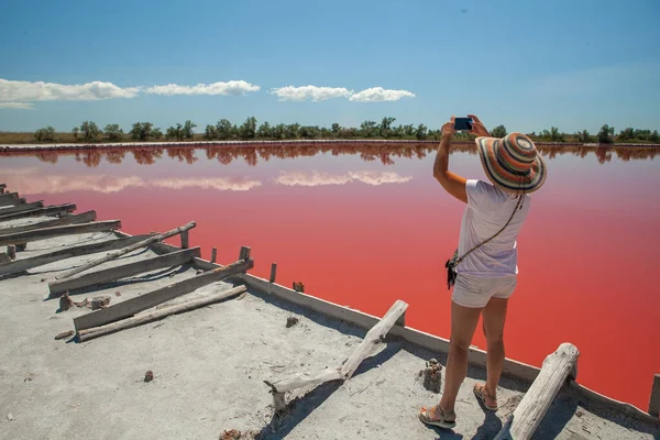 Pink Lake Located Kinburn Spit Kherson Region Royalty Free Stock Images