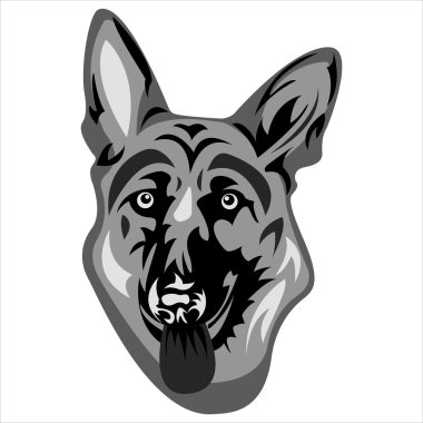 köpeğin yüz vektör 