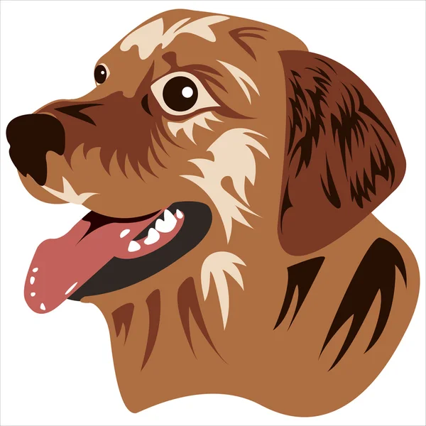 Vector facial del perro — Archivo Imágenes Vectoriales