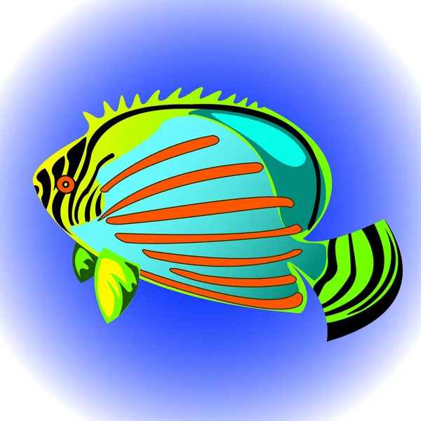 Peixe exótico — Vetor de Stock
