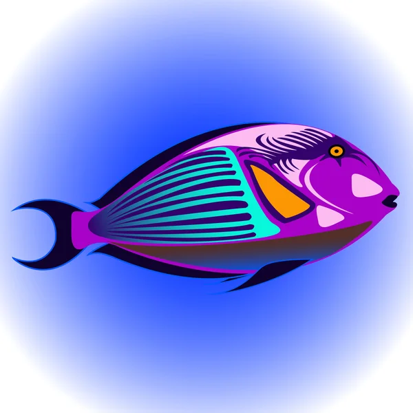 Екзотичних риб — стоковий вектор