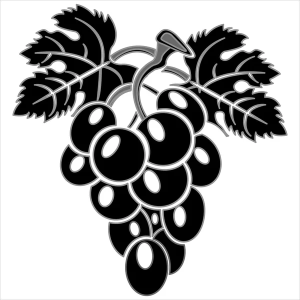 Виноград на гілці з листям — стоковий вектор