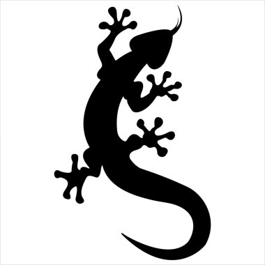 kertenkele siluet vektör
