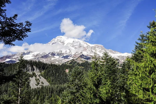 Monte Rainier — Foto Stock