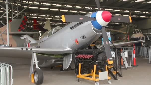 North American Mustang Fighter — Stockvideo