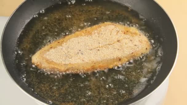 Filet de poisson frit — Video