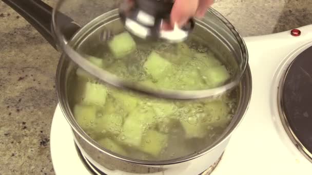 Making Mashed Potato — Stock Video