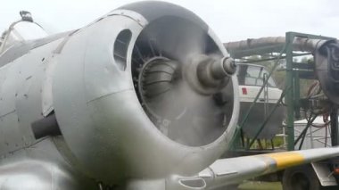 Wirraway Closeup Being