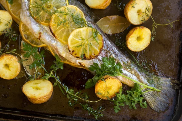 Baked Rainbow Trout Tail — Stock Photo, Image