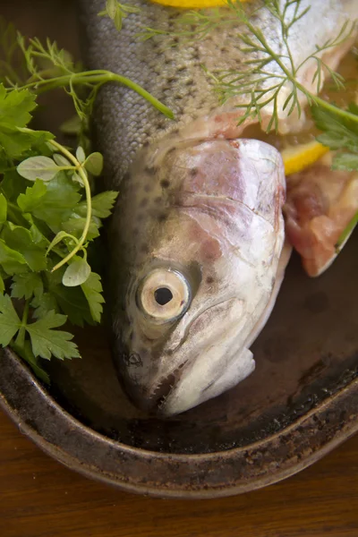 Raw Rainbow Trout — Stock Photo, Image