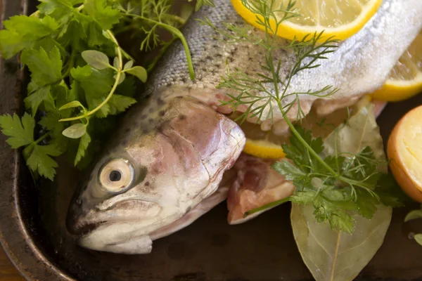 Raw Rainbow Trout — Stock Photo, Image