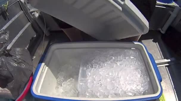 Almuerzo de picnic en un barco — Vídeos de Stock