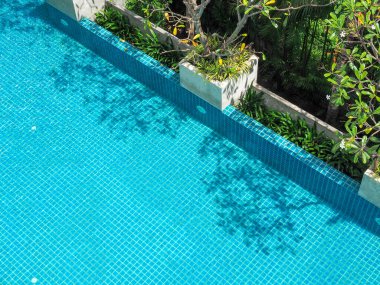 Binanın kenarındaki yeşil ağacın yakınındaki mavi havuz. Temiz su yüzeyinde ağaç gölgesi olan küçük kare mavi mozaik fayanslarla yüzme havuzu altı arka planı, üstten görünüm.