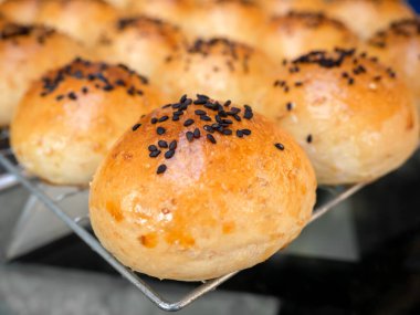 Siyah susam tohumlu taze ev yapımı hamburger çörekleri. Yakın plan lezzetli, fırından yeni çıkmış yuvarlak çörekler..