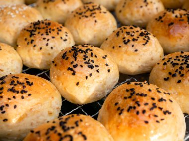 Siyah susam tohumlu taze ev yapımı hamburger çörekleri. Fırından yeni çıkmış lezzetli yuvarlak sandviçli çörekler..
