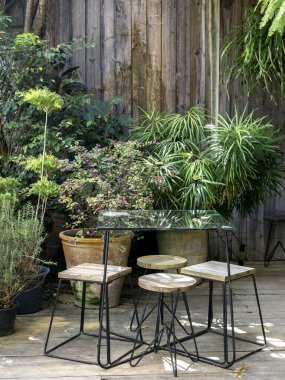 Boş cam masa, tahta sandalyeler, tahta bacaklar, ahşap zemin, dikey yeşil bahçe..