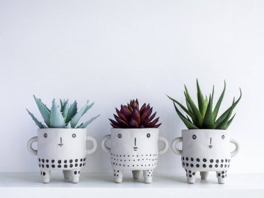 Beyaz ahşap raftaki kırmızı ve yeşil sulu bitkilerle dolu üç sevimli yüz seramik saksısı kopya alanı olan beyaz duvar arka planında izole edilmiş. Küçük modern DIY çimento ekme modayı dekorasyonu.
