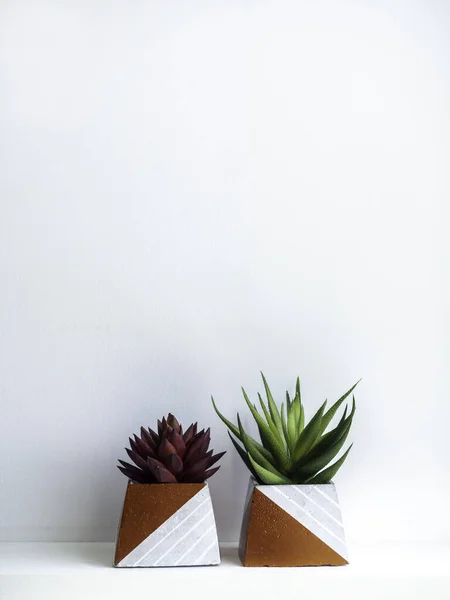 Bricolage Pots Béton Forme Pyramidale Avec Des Plantes Succulentes Vertes — Photo