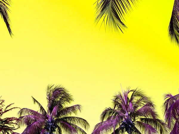 色彩艳丽的夏季背景 热带棕榈树生机勃勃 黄天背景美观 带复制空间的最小非自然奢华背景图 — 图库照片