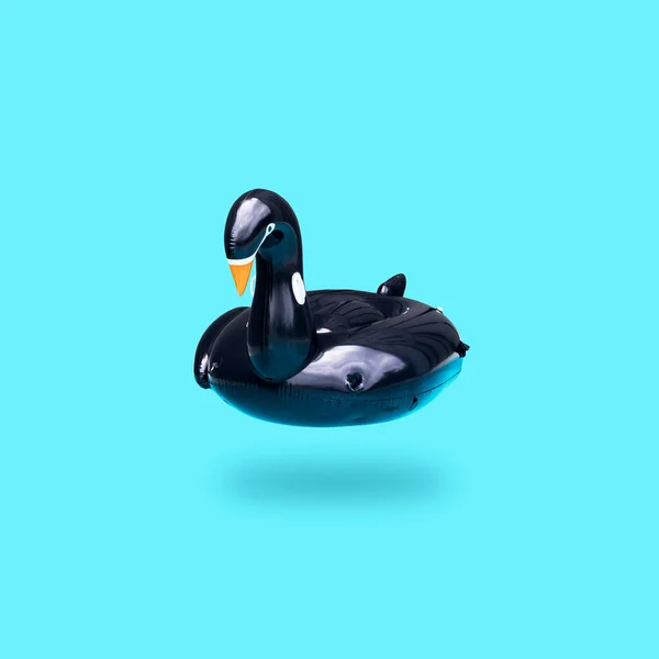 Концепция Летнего Минимума Черная Надувная Лебединая Птица Плавает Кольцо Светло — стоковое фото