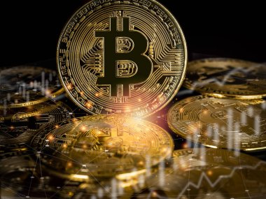 Bitcoin teknolojisi geçmişi. Çizelgesi olan altın bitcoin ve karanlık arka planda ağ transferi olan bir şamdan, kripto para yatırımı konsepti. Dijital gelecek para birimi finansal geçmişi.