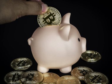 Bitcoin teknolojisi geçmişi. Pembe kumbaralı ve arka planda para tutan altın bitcoin. Dijital cüzdan, kripto para birimi yatırımının yararları ve tasarruf kavramı.