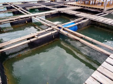Geleneksel balık kafesi Koh Yao Noi, Phang Nga, Tayland.