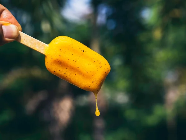 Gele Smelt Ijslolly Hand Groene Tropische Natuur Achtergrond Smelten Zomertijd — Stockfoto