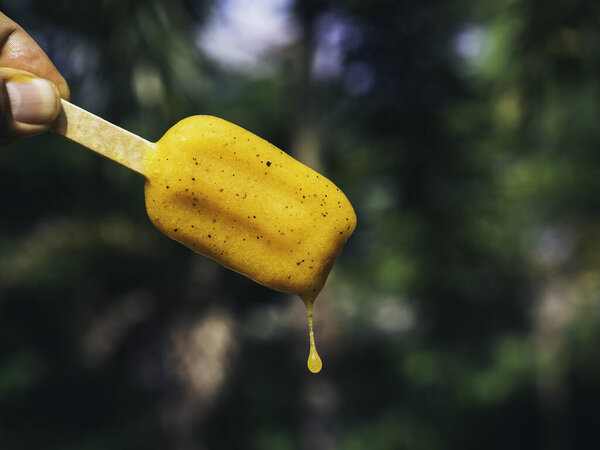 Yellow melt popsicle in hand on green tropical nature background, melting, summertimes. Female hand holding yellow frozen popsicle ice pop.