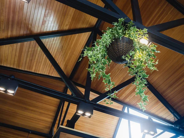 木顶装饰下的黑铁建筑上挂着绿叶植物篮 在现代建筑内安装有天花板灯 — 图库照片