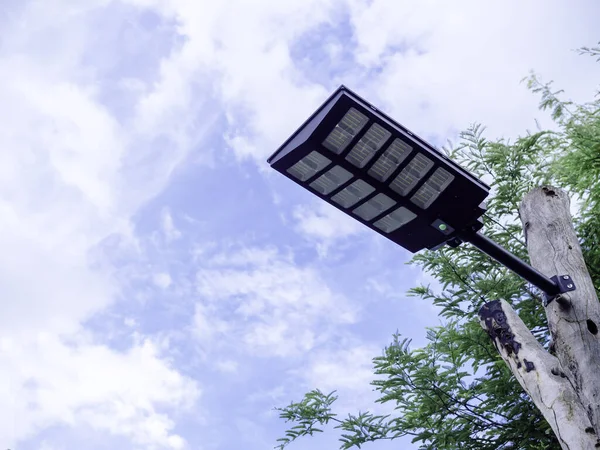 Solar light mounted on a wooden pole with green leaves on blue sky background with copy space. Street lamp with solar panel, view from under.