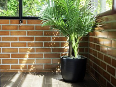 Tuğla duvar zemininde boş bir alan. Yeşil yapraklar seramik kapta. Parke zeminde, odanın köşesinde..