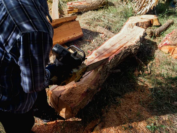 통나무와 나무들 벌목꾼 톱질을 자르고 있습니다 톱밥들 여기저기날아다니고 나무를 자르는 — 스톡 사진