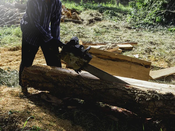 나무를 자르는 동작을 인부가 나무에 커다란 나무를 톱질하며 톱밥을 날라다니는 — 스톡 사진