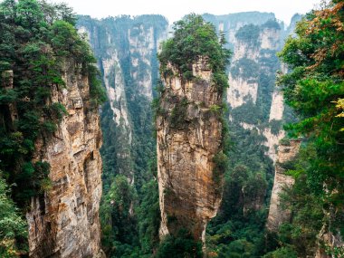 Çin 'deki Zhangjiajie Ulusal Orman Parkı' ndaki Avatar Hallelujah Dağları 'nın çarpıcı hava manzarası, yüksek kum taşı sütunları ve bereketli yeşil vadi manzarası Ekim, sonbahar sezonu.