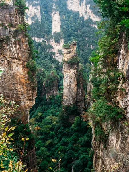 Zhangjiajie, Avatar ya da Hallelujah Dağları 'ndaki yemyeşil ormanlardan yükselen dikey kumtaşı sütunları. Ulusal parktaki derin kanyon ve yüksek kaya oluşumlarının ikonik manzara görüntüsü.
