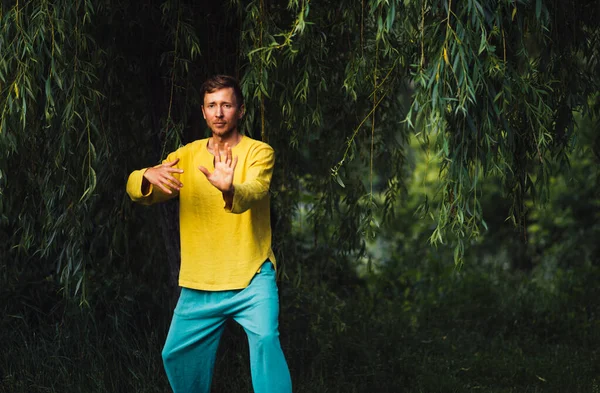 Hombre haciendo neigong en la naturaleza cerca del follaje —  Fotos de Stock