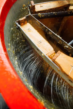 Bal sökücü çalışıyor. Arıcılık ürünleri işleniyor.