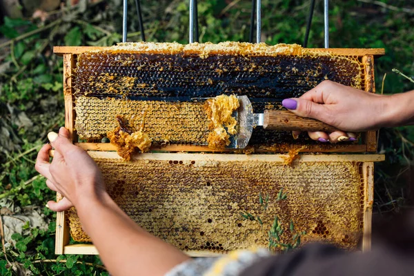 Apicultor remove as tampas de cera de quadros favos de mel. Produção de mel fresco. — Fotografia de Stock