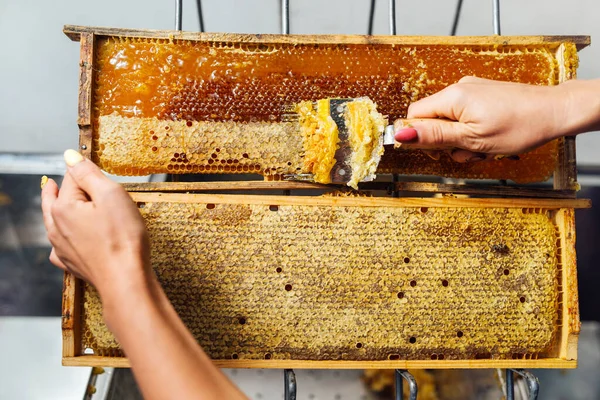 Faca corta favo de mel selado. Produção de mel fresco. — Fotografia de Stock