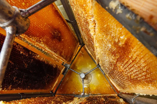 Molduras com favos de mel no extrator de mel. Transformação de produtos apícolas. — Fotografia de Stock