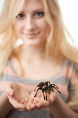 büyük bir örümcek ellerinde tutan kız