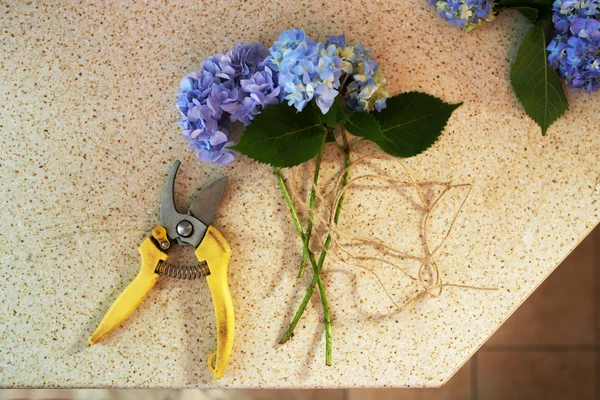 Срезанные цветы и секаторы на столе — стоковое фото