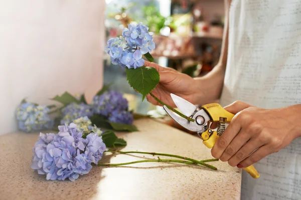 Girl prepares flowers for cutting  stems — Stock Photo, Image