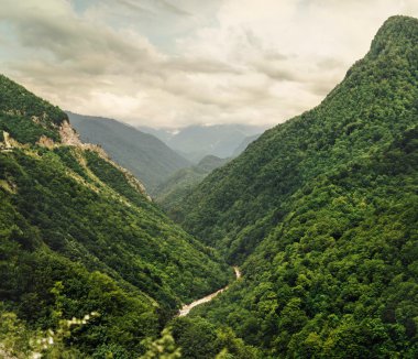 Yeşil dağ muhteşem manzarası 