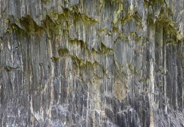 テクスチャのレイヤーの変成岩 — ストック写真