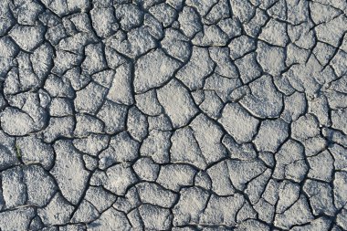 doku kurutulmuş çamur portre