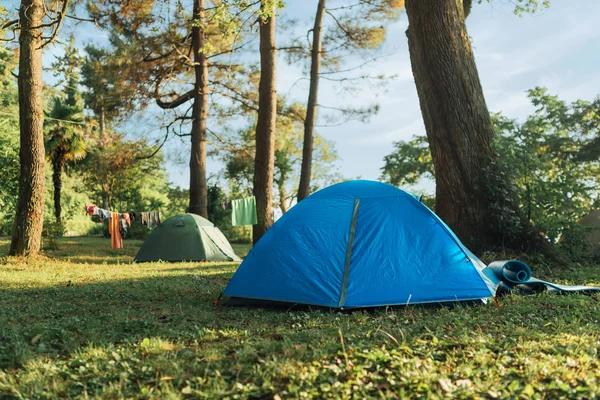 çimenlerin üzerinde ormanda mavi çadır