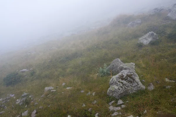 Autunno nebbia in collina — Foto Stock